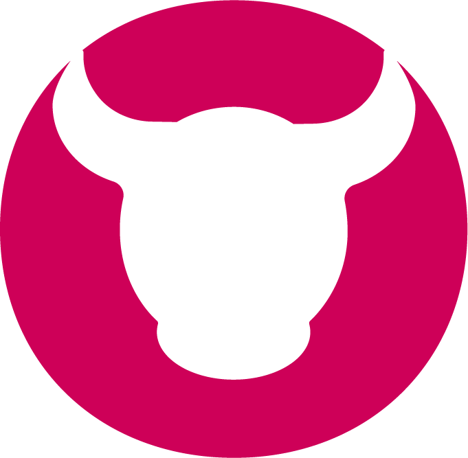 partner icon