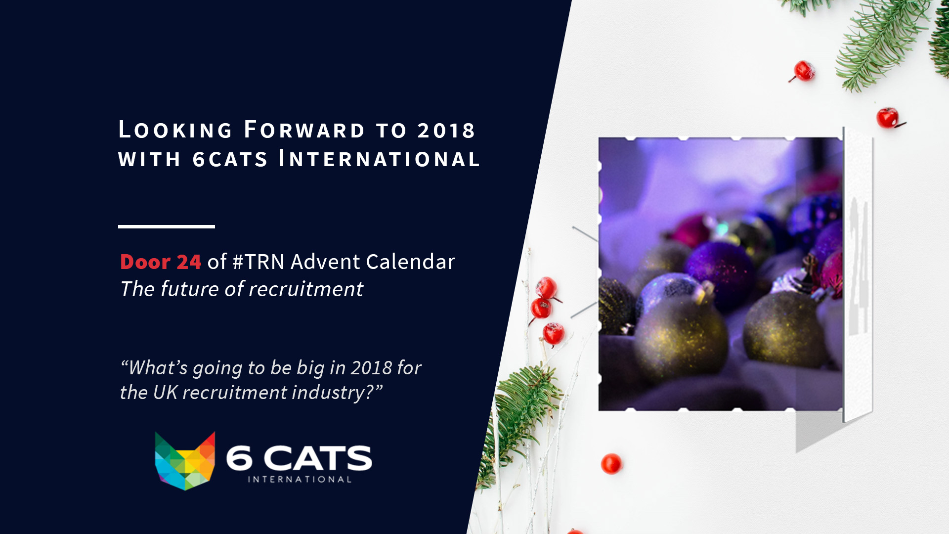 Looking Forward to 2018 with 6CATS International