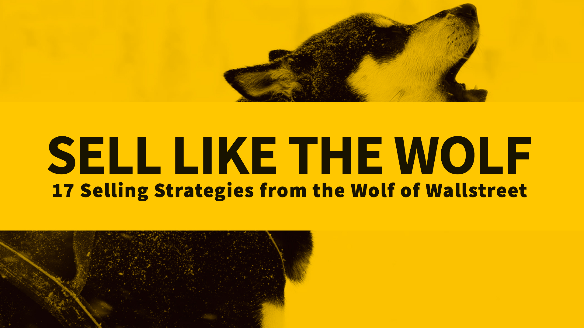 Sell Like the Wolf – 17 Selling Strategies From the Wolf of Wallstreet